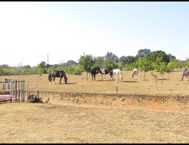 6HA SMALLHOLDING FOR SALE IN WHITE RIVER ESTATES